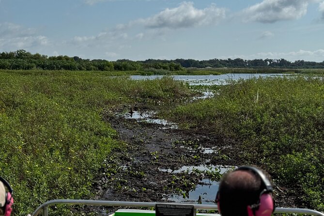 1 Hour Everglades Airboat Tour Orlando Florida - Out Into the Swamps: What You’re There to See