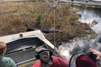 1 Hour Everglades Airboat Tour Orlando Florida - The 60-Minute Ride: A Fast Taste of Alligator Country