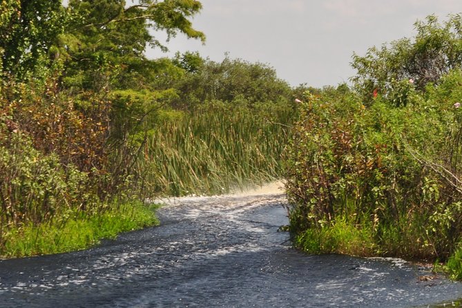 1 Hour Everglades Airboat Tour Orlando Florida - Price and Value: Is $68 for an Hour Worth It?