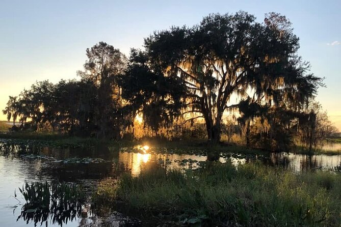 1 Hour Florida Everglades Wildlife Tour - Quick Snapshot: Duration, Price, and Group Size