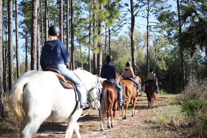 1 Hour Guided Horseback Trail Ride Rock Springs Run State Reserve - Rock Springs Run State Reserve: what you actually ride through