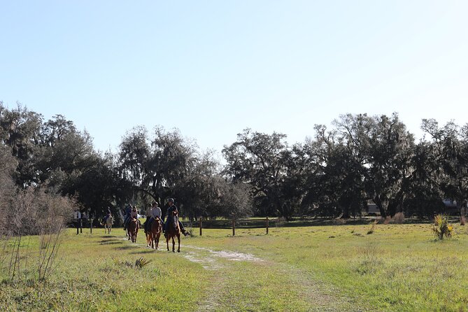 1 Hour Guided Horseback Trail Ride Rock Springs Run State Reserve - Your guides and horses: why the training style matters