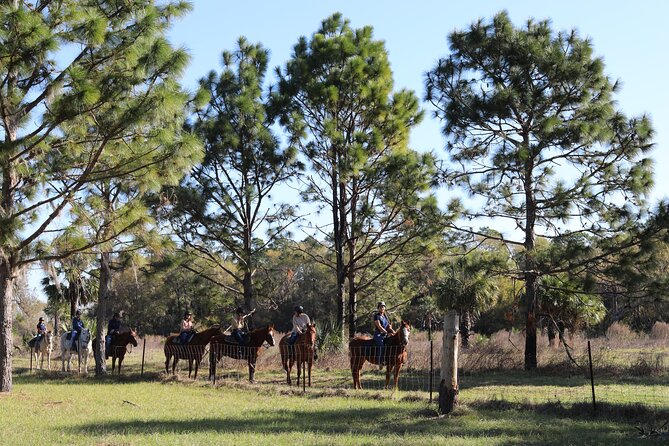 1 Hour Guided Horseback Trail Ride Rock Springs Run State Reserve - Price and value: $79 plus the $5 state park admission