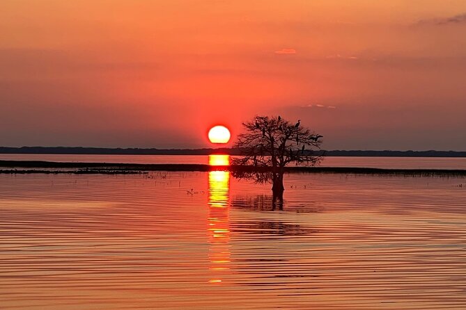 1-Hour Sunset Airboat Ride near Orlando - Should You Book This Boggy Creek Sunset Airboat?