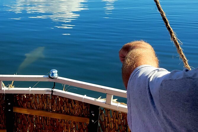 2 hour Dolphin Sightseeing Tour in Melbourne Florida - Price and value: is $66.67 for two hours a good deal?