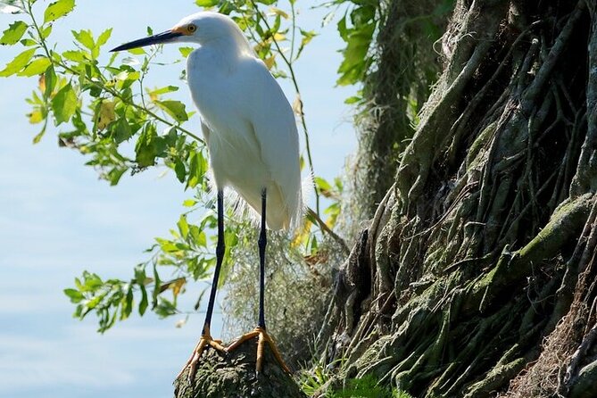 2 Hour Historical Wildlife Tour of the Chain of Lakes - What to bring: the small stuff that makes the trip better