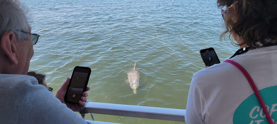 2 Hour Tiki Dolphin Sightseeing Tour in Cocoa Beach - Cape Crossing Marina Pickup: Arrive Early and Watch for the Right Dock