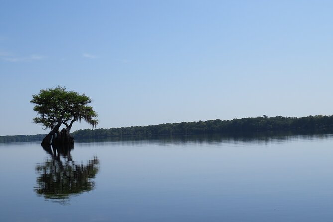 3 Hour Small Group Lake Norris Kayak Activity - The Guide Matters: Medically Trained, Certified, and Built for Your Pace