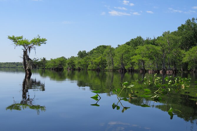 3 Hour Small Group Lake Norris Kayak Activity - Gear That Lets You Focus on the Water