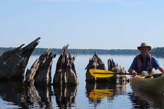 3 Hour Small Group Lake Norris Kayak Activity - What to Bring (So the Trip Feels Easy, Not Annoying)