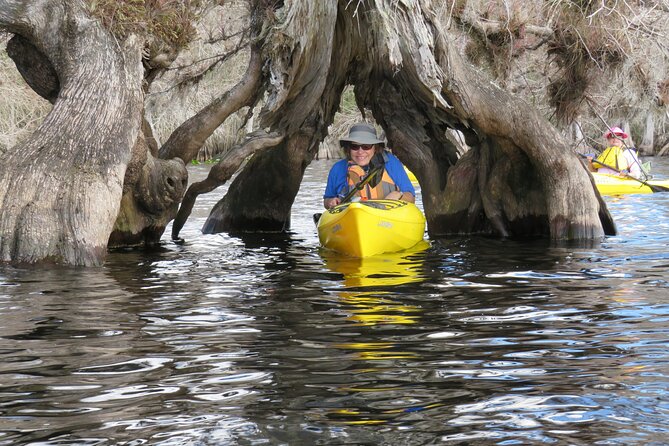 3 Hour Small Group Lake Norris Kayak Activity - How the Out-and-Back Route Actually Works