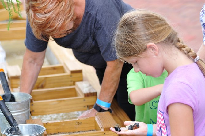 30-Minute Airboat Ride, Lunch, Gem Mining and Park Admission - Alligator Oasis and the butterfly garden: break time that’s still part of the show