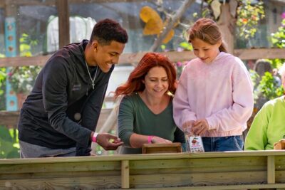 30-Minute Airboat Ride near Orlando - Alligator Oasis: Your Wildlife Safety Net