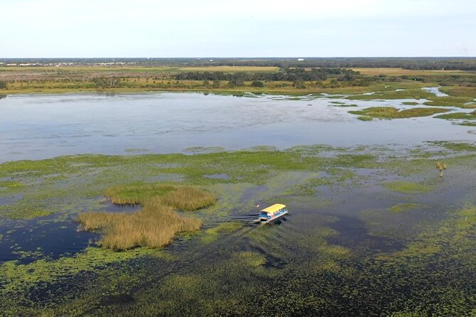 90 Minute Florida Everglades Boat Eco Tour - Kissimmee launch point: where you start and why it matters