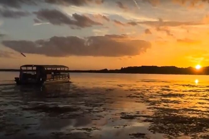 90 Minute Florida Everglades Boat Eco Tour - Captain Chris leads the wildlife hunt, not just a sightseeing loop
