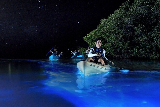 Bioluminescence Clear Kayak or Paddleboard Tour Near Orlando - Key highlights to know before you go