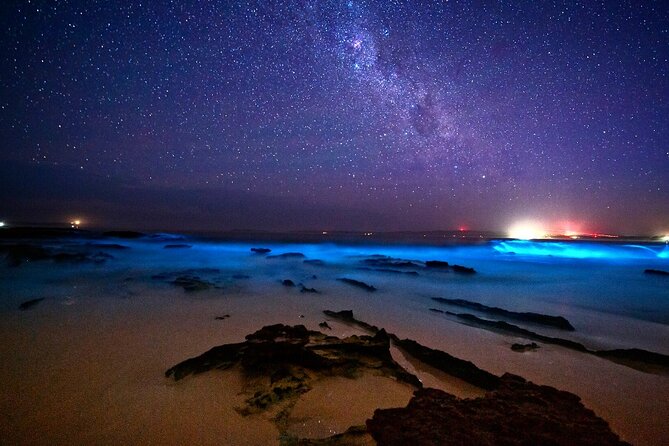 Bioluminescence Clear Kayak or Paddleboard Tour Near Orlando - What you’ll actually see: pink sky, then otherworldly blue