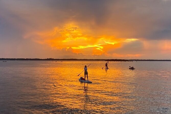 Bioluminescence Clear Kayak or Paddleboard Tour Near Orlando - Booking smart: timing, expectations, and a smooth night