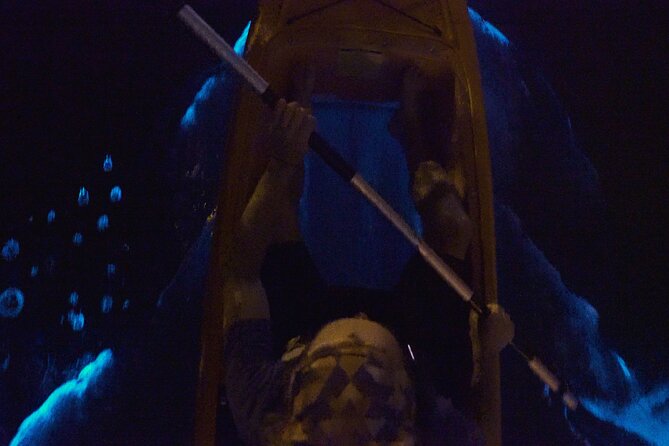 Bioluminescence Kayak Tour - Dinoflagellates vs Comb Jellies: Pick the Right Month