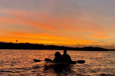 Bioluminescence Kayak Tour - What Happens on the Water: Glow, Wildlife, and That Quiet Wow