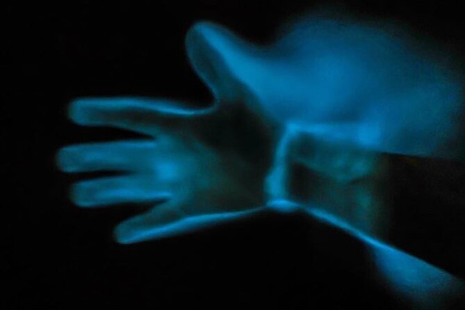 Bioluminescence Kayak Tour - Timing, Light Pollution, and Why Some Nights Feel Stronger