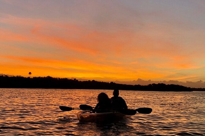 Bioluminescence Kayak Tour - What Happens on the Water: Glow, Wildlife, and That Quiet Wow