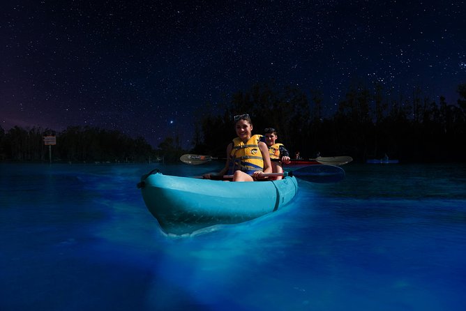 Bioluminescence Night Kayaking Tour of Merritt Island Wildlife Refuge - Price and value: is $75 worth it?