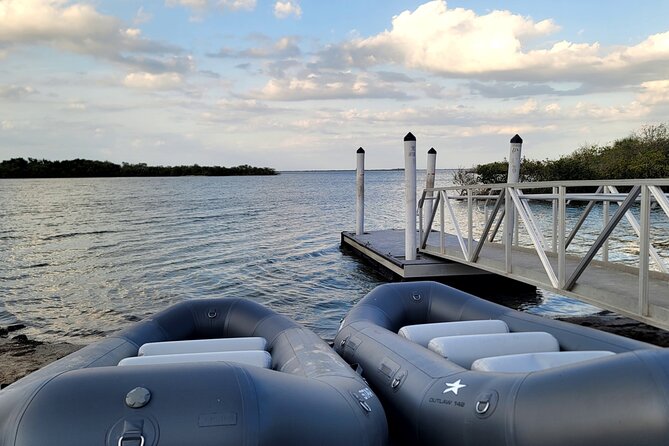 Bioluminescence Rafting Tour - Wildlife Refuge (Titusville) - The Wildlife Angle: Manatees, Dolphins, and Fish in the Glow
