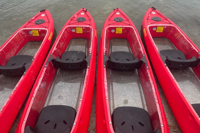 Bioluminescent Clear Bottom Kayak or Paddleboard Sit-On-Top Kayak Hybrid Tour! - Why Cocoa Beach’s waters glow: the bioluminescence you’re hunting