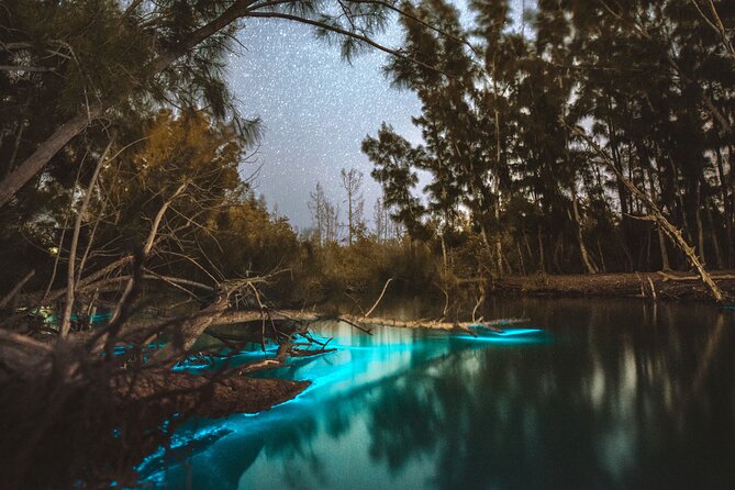 Bioluminescent Clear Kayak Tours in Titusville - Quick hits: what you should know upfront