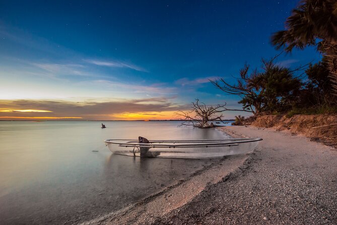 Bioluminescent Clear Kayak Tours in Titusville - Wildlife spotting rules: how to actually see fish, gators, and snakes