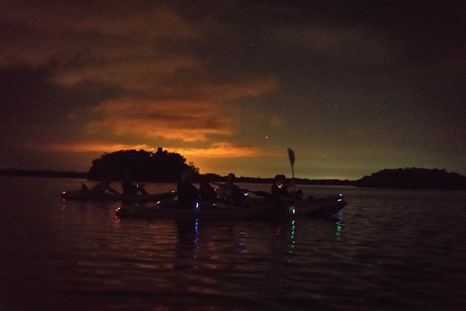 Bioluminescent Kayak Tour by THE #1 Rated Company in Cocoa Beach - Price and Value: Is $79 a Good Deal?