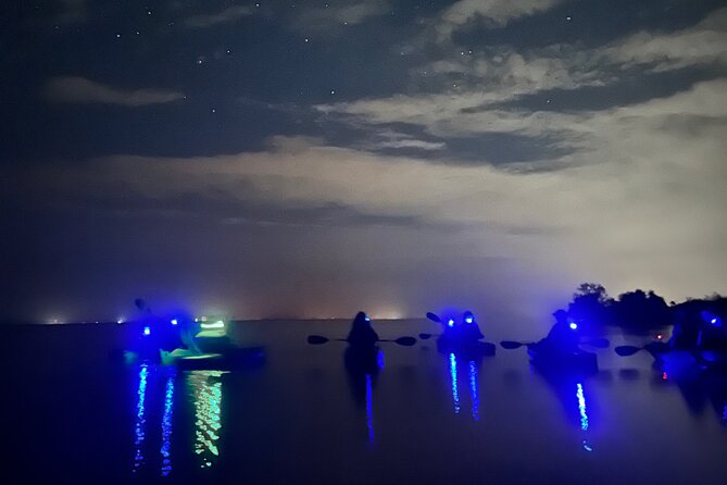 Bioluminescent Kayak Tour in Floridas Indian River Lagoon - Key highlights worth your attention