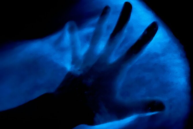 Bioluminescent Kayak Tour in Floridas Indian River Lagoon - Why the Indian River Lagoon glows at night