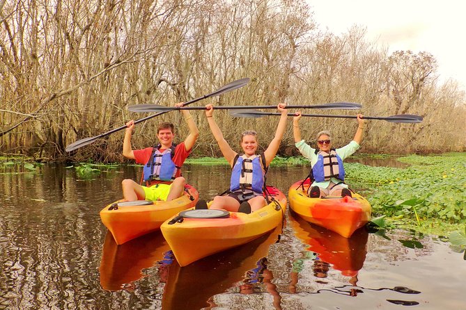 Blue Springs Manatee Tours & Wildlife Adventure Orlando - Wildlife watching, explained: learning manatees in context