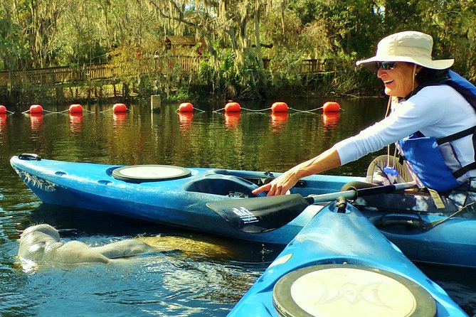Blue Springs Manatee Tours & Wildlife Adventure Orlando - Practical planning: duration, fitness, and group size