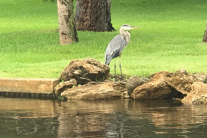 Brevard County Tours, dolphin and manatee tours in Palm Bay, FL - Bring a Jacket, a Hat, and Camera Time