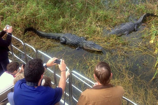 Central Florida Everglades Airboat Tour from Orlando with Pickup - Key things to know before you go
