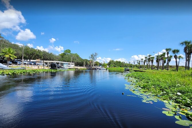 Central Florida's Airboat Rides - Wildlife is seasonal: when you’ll see more birds or smaller gators