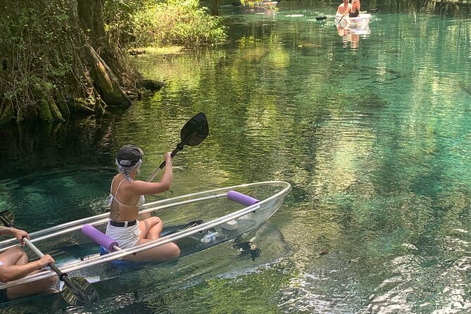 Clear Canoeing and Wildlife Sightseeing at Silver Springs - Price and fees: what you’re paying for and how to budget