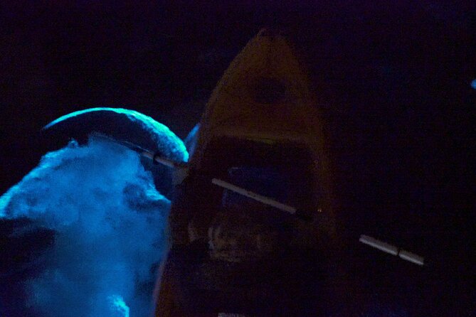 Clear Kayak Bioluminescence Tour - When the Full Moon Dims the Glow