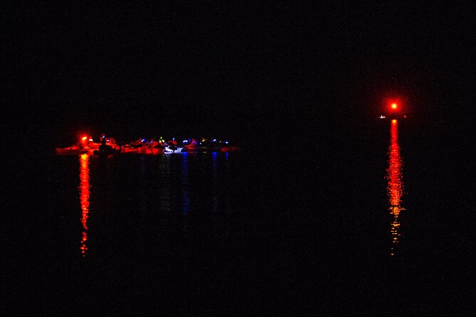 Clear Kayak Bioluminescence Tour - Cocoa Beach - The Glow Show: Comb Jellies in Cooler Months, Neon Plankton in Summer