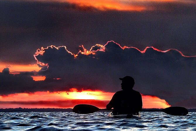 Clear Kayak Bioluminescence Tour - Cocoa Beach - Guides Who Know the Night: What You Gain From Their Style