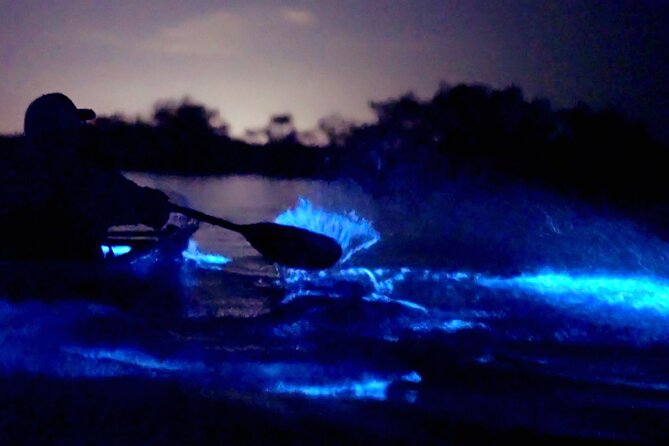 Clear Kayak Bioluminescence Tour - Cocoa Beach - Logistics That Matter: Group Size, Weight Limits, and Your Paddling Setup