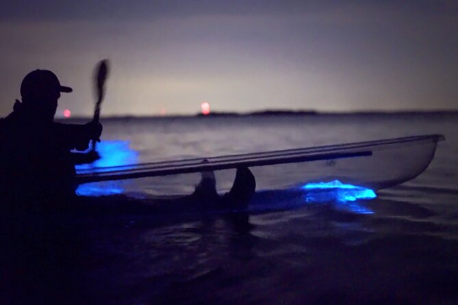 Clear Kayak Bioluminescence Tour - Cocoa Beach - Clear Kayaks + Marine Life Sighting: The Best Part Isn’t the Light Alone