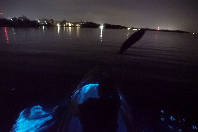 Clear Kayak Bioluminescence Tour - The Tour Flow: Gear Up, Paddle Out, Watch the Glow