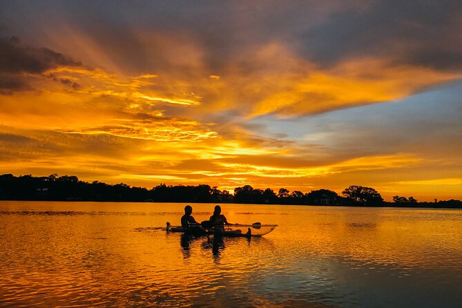 Clear Kayak Guided Kayak Tours in Titusville - Merritt Island National Wildlife Refuge: Big Biodiversity, Up Close
