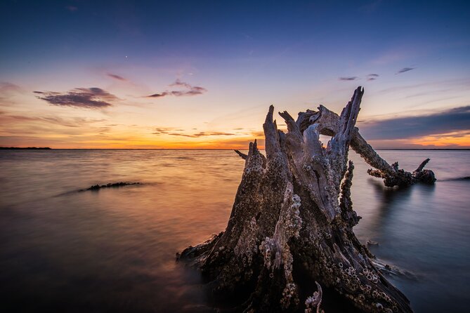 Clear Kayak Guided Kayak Tours in Titusville - What Your Guide Does: Conservation Lessons Plus Smarter Paddling