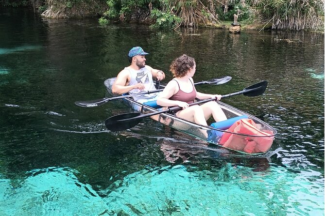 Clear Kayak or Paddleboard Manatee Adventure - Wildlife reality check: manatees, turtles, monkeys, and alligators