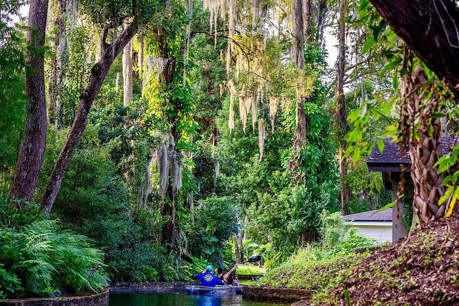 Clear Kayak Sunset Tour through The Winter Park Chain of Lakes - Price and value: is $80 for 2 hours worth it?